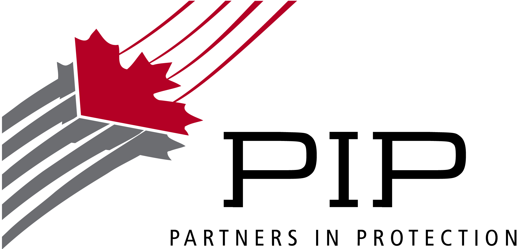 PIP Logo